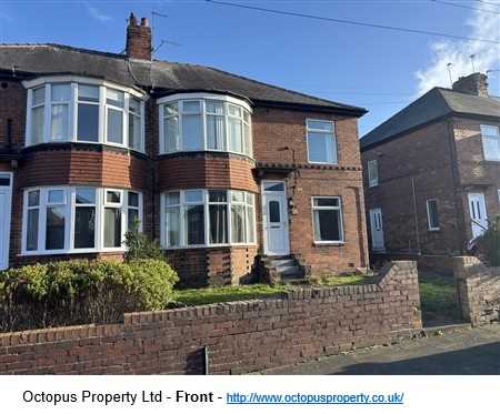 Ovington Grove, Two Ball Lonnen